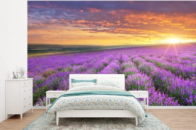 Behang - Fotobehang Lavendel - Wolken - Lente - Breedte 295 cm x hoogte 220 cm
