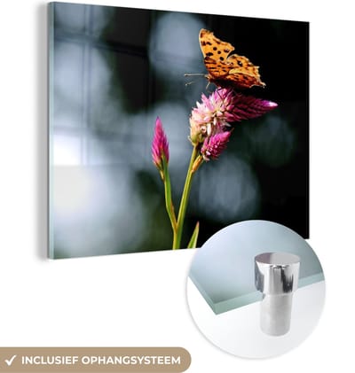 MuchoWow® Glasschilderij 40x30 cm - Schilderij acrylglas - Vlinder - Bloemen - Insecten - Foto op glas - Schilderijen