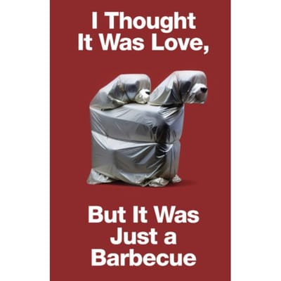 I Thought It Was Love, But It Was Just A Barbecue - SerraGlia
