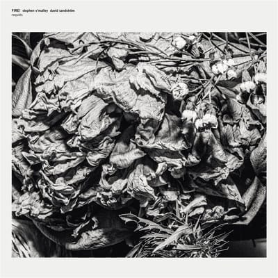 Fire! & Stephen O'Malley & David Sandstrom - Requires (One-Sided Mini-Album) (LP) (Limited Edition)