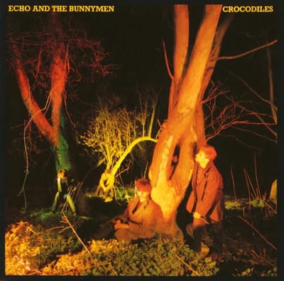 Crocodiles - Echo And The Bunnymen