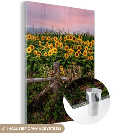 MuchoWow® Glasschilderij 30x40 cm - Schilderij acrylglas - Zonnebloem - Bloemen - Planten - Foto op glas - Schilderijen