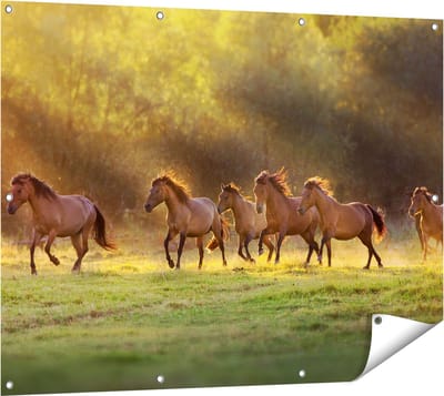 Gards Tuinposter Kudde Bruine Paarden in de Wei - 120x90 cm - Tuindoek - Tuindecoratie - Wanddecoratie buiten - Tuinschilderij