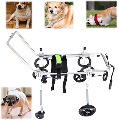 Rolstoel voor Dieren - Hondenbuggy Mobiliteitshulpmiddel - Revalidatie Huisdier - Verstelbaar Aluminium Frame - Maat S - Zilver