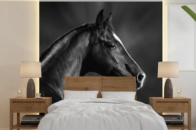 Behang - Fotobehang Paard - Dieren - Zwart - Wit - Portret - Breedte 240 cm x hoogte 240 cm