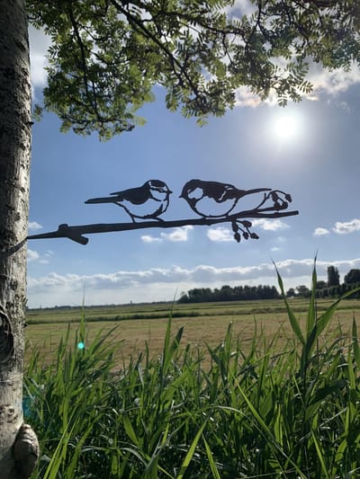 Metalen vogels tuin decoratie - Pimpel en Koolmees - Decoratie vogels