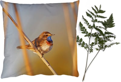 Sierkussens - Kussentjes Woonkamer - 40x40 cm - Vogels - Blauwborst - Riet