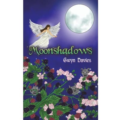 Moonshadows - Davies, Gwyn