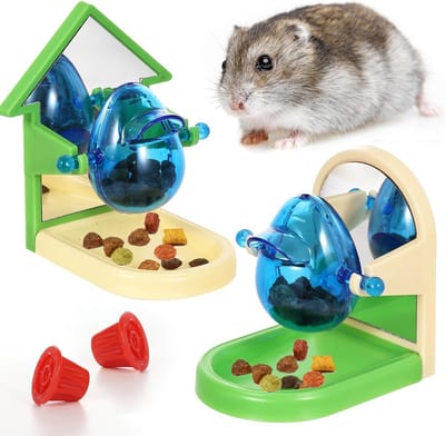 Verrijkingsspeelgoed voor Ratten en Knaagdieren: Puzzels, Snacks en Klimmateriaal