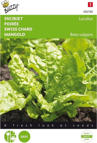 Snijbiet Lucullus (Beta vulgaris) 5 gram