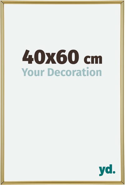 Your Decoration - Fotolijst 40x60 cm - Kunststof - Goud - Annecy