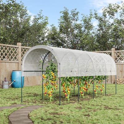 Kas - Kweekas - Tuinkas - Buiten - Foliekas - Winddicht - Tomatenkas - 4 x 1.2 x 1.7 m