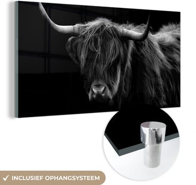 MuchoWow® Glasschilderij 120x60 cm - Schilderij acrylglas - Schotse Hooglander - Horens - Zwart - Dieren - Natuur - Wild - Koe - Foto op glas - Schilderijen