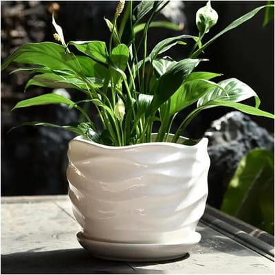 Keramiek Bloempot - Plant Pot - Planten Binnen - Met Golfpatroon - Middelgroot - Zuiver Wit