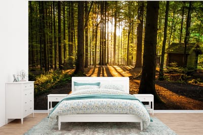 Behang - Fotobehang Zon - Bomen - Bos - Landschap - Natuur - Breedte 320 cm x hoogte 240 cm
