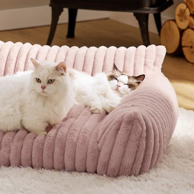 Kattenbank Bed Schattig Huisdierenbed voor Kleine Middelgrote en Grote Katten en Honden Pluizig Bankbed voor Huisdieren Binnen met Antislip S white