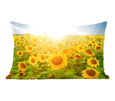 Sierkussens - Kussentjes Woonkamer - 50x30 cm - Zonnebloem - Zon - Wolken