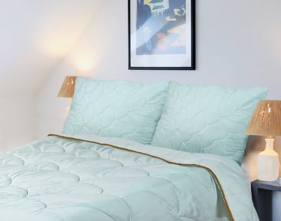 Golden Dreams 2-in-1 Dekbed - 200 x 220 cm - Seladongroen - Dekbed zonder overtrek - Anti Allergie & Ademend - All Year Dekbed - Zomerdekbed & Winterdekbed
