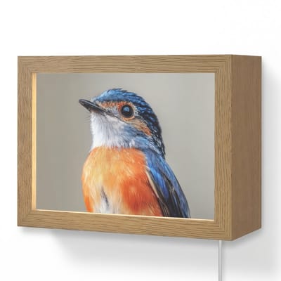 Wandlamp 20x15 cm - Oplaadbaar - Kleurrijk - Vogeltje - Veren - Blauw - Wandlampen binnen woonkamer - Slaapkamer lamp met kabel - Decoratieve nachtlamp - Vloerlamp snoer