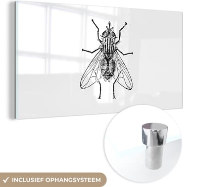 MuchoWow® Glasschilderij 40x20 cm - Schilderij acrylglas - Vlieg - Dieren - Vintage - Zwart wit - Foto op glas - Schilderijen