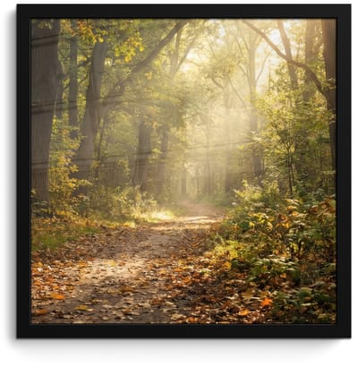 Poster in lijst - Fotolijst 40x40 cm - Posters - Zonlicht - Bospad - Bomen - Posterlijst zwart - Decoratie - Wanddecoratie woonkamer - Muurdecoratie slaapkamer