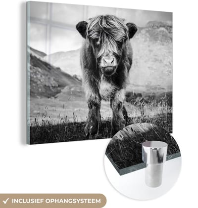 MuchoWow® Glasschilderij 160x120 cm - Schilderij acrylglas - Schotse Hooglander - Berg - Zwart - Wit - Foto op glas - Schilderijen