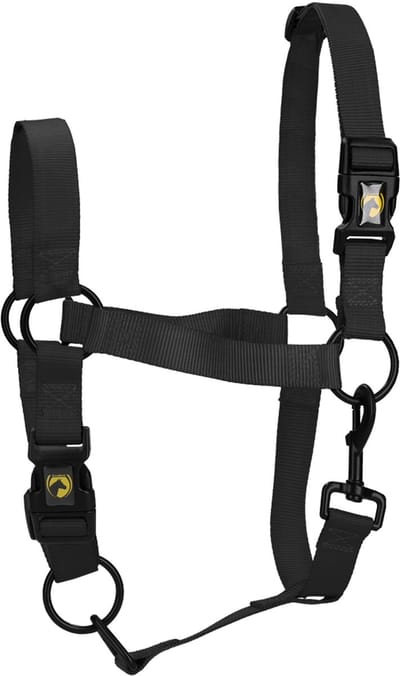 Excellent Horse - XS (Veulen) - Essential Halster - Halster voor paard - Geschikt voor paarden - Zwart