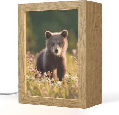 Nachtlampje 15x20 cm - Kinder lampje - Beer - Bloemenveld - Gras - Tafellamp kinderkamer - Slaapkamer lamp - Bedlamp kinderen - Kinderlampje stopcontact - Wandlamp babykamer - Nachtlampjes