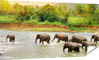 Gards Tuinposter Kudde Olifanten in het Water - 180x90 cm - Tuindoek - Tuindecoratie - Wanddecoratie buiten - Tuinschilderij