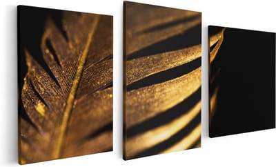 Artaza Canvas Schilderij Drieluik Gouden Veer  - 120x60 - Foto Op Canvas - Canvas Print