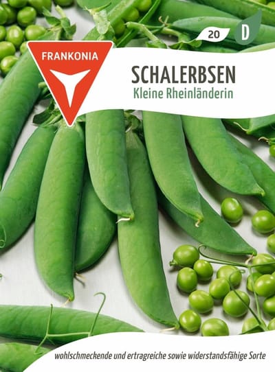 Doperwt, variëteit Klein Rijnland - Erwtenzaden, groentezaden, zaai- en stekken, zaden