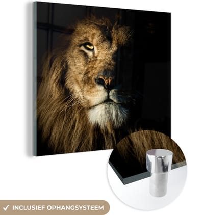 MuchoWow® Glasschilderij 50x50 cm - Schilderij acrylglas - Leeuw - Licht - Zwart - Foto op glas - Schilderijen