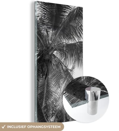 MuchoWow® Glasschilderij 20x40 cm - Schilderij acrylglas - Palmbladeren - Vintage - Natuur - Foto op glas - Schilderijen