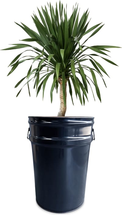 Barrelkings - Staande Plantenbak - Zwart Metaal Olievat - Ø40x58 cm - 60L - Industrieel Retro Design - Voor Binnen & Buiten