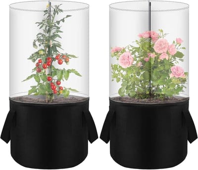 Mini Kas - Plantbeschermer Dome - Winterhard Maken - Compact Opvouwbaar - 25 x 30 x 4 cm - Veelkleurig