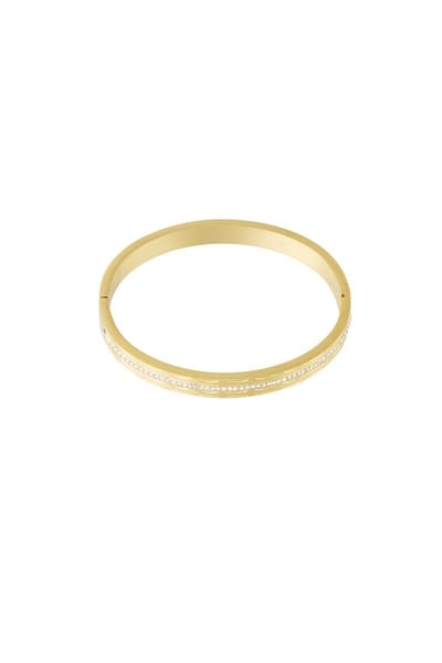 Armbanden van roestvrij staal - Verkleurt niet - Cadeau - Goudlief.nl