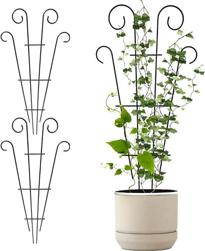 DailySupplies® Klimrek Planten - Plantensteunen voor Klimplanten - Wandrek voor Buiten - Hout - Nature - Zwart