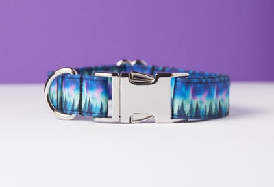 Awesome Paws halsband hond - Honden Halsband Noorderlicht - Northern Light - Aurora Forest - Handmade | Maat L