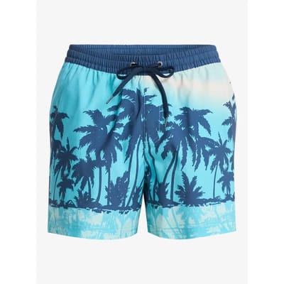 Quiksilver Everyday Printed Volley 15´´ Zwembroek Blauw L Man