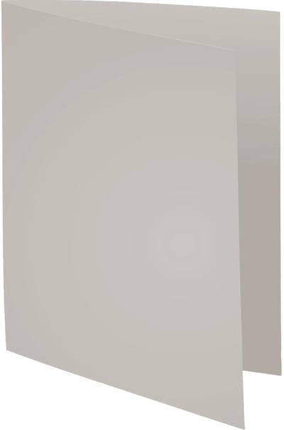 Exacompta 5x FOREVER 170 - Pak van 100 dossiermappen 170g/m2- 24x32cm voor A4. - Grijs - 420009E