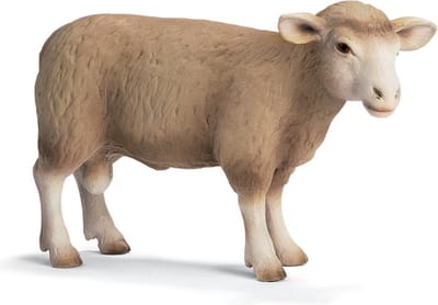 Ram Schleich