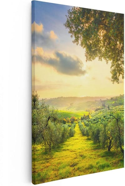 Artaza Canvas Schilderij Olijfboomgaard - 20x30 cm - Klein - Wanddecoratie Italië - Muurdecoratie Landschap - Kamer Accessoires Natuur