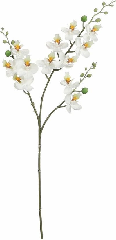 Mica Decorations Kunstbloemen Orchidee tak - wit - 75 cm - Kunst zijdebloemen - siertakken - planten - bloemetjes