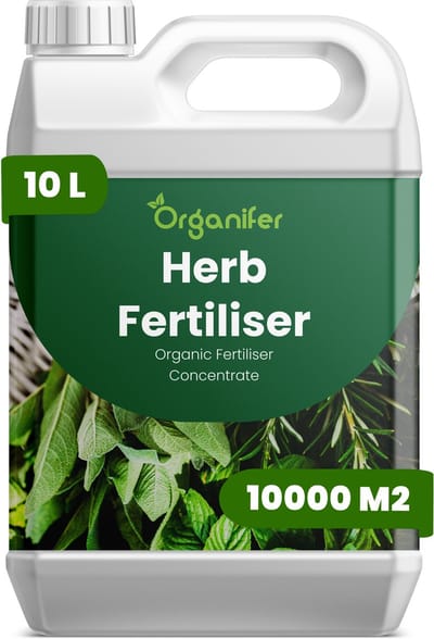 Vloeibare Meststof Voor Kruiden 10 L Voor 10000 M2 - Npk 3-4-3 - Аromatische Groei, Hoge Bladdichtheid, Intense Smaak, Groeiroutine Na Herhaald Oogsten, Verhoogt De Concentratie Van Essentiële Oliën Voor Superieure Culinaire Kwaliteit - Organifer