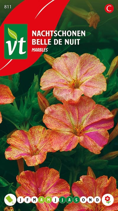 Nachtschonen Marbles Zaden - Bijzondere Geur met Rood-Geel Gestreepte Bloemen
