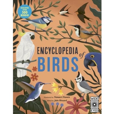 Encyclopedia Of Birds - Jules Howard