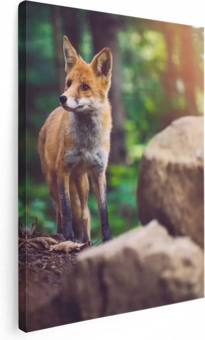 Artaza Canvas Schilderij Vos In Bos - 30x40 cm - Klein - Wanddecoratie Dieren - Muurdecoratie Woonkamer - Kamer Accessoires