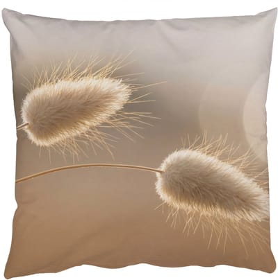 Sierkussens - Kussentjes Woonkamer - 50x50 cm - Hazestaartgras - Graanharen - Zonlicht