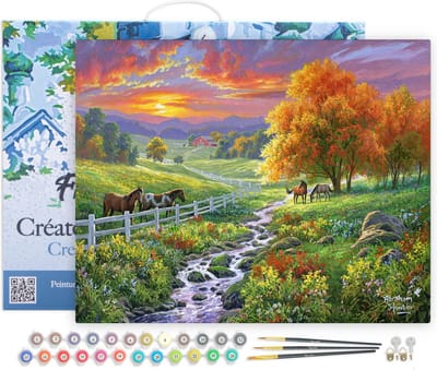 Figured'Art Schilderen op Nummer Volwassenen met lijst - Zonnige weide - Handwerk acrylverf Kit DIY Compleet - 40x50cm Canvas al ingelijst