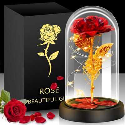 Eeuwige Roos - Glazen Koepel - Decoratie Huis - Handgemaakt Uniek - 21.5 cm Hoog - Romantisch Rood